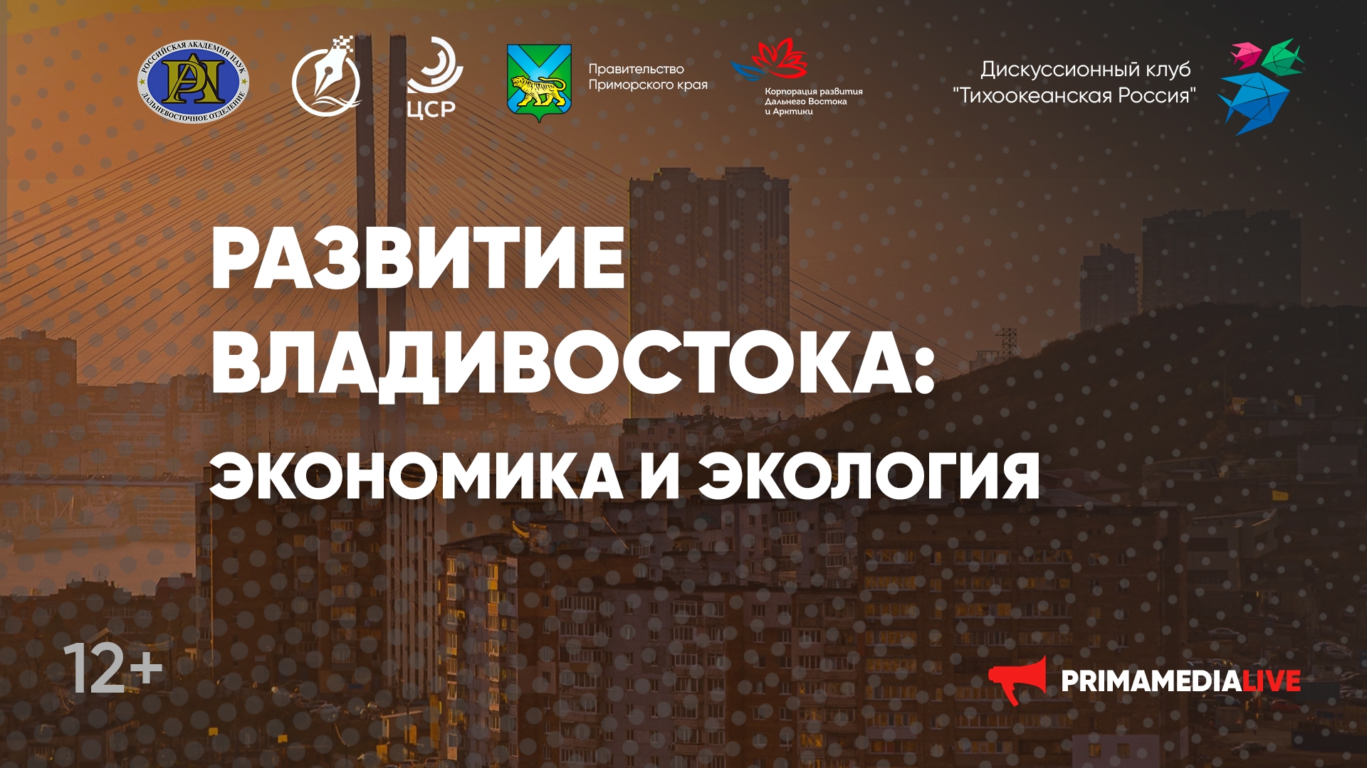 Круглый стол  «Развитие Владивостока: экономика и экология» (12+)